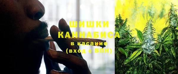прущий лед Козельск